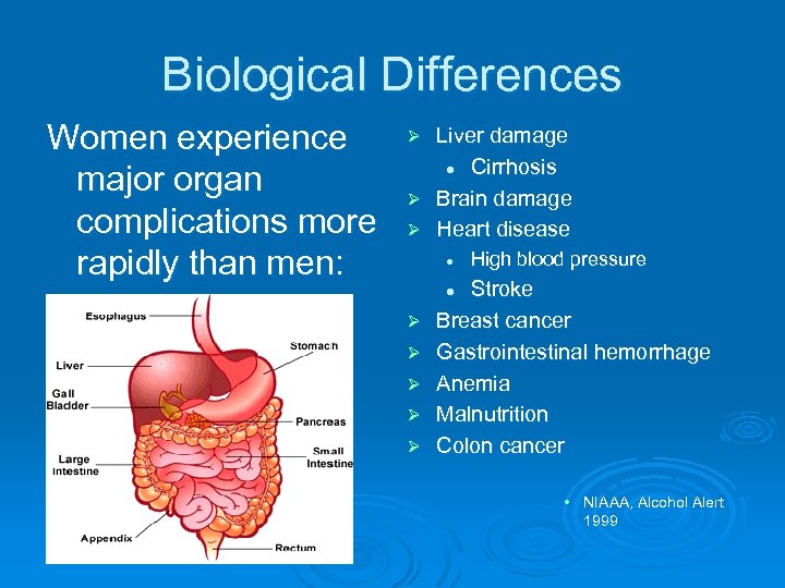 Biological Differences Women experience major organ complications more rapidly than men: Liver damage l