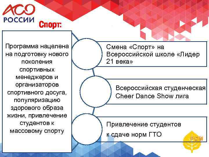 Спорт: Программа нацелена на подготовку нового поколения спортивных менеджеров и организаторов спортивного досуга, популяризацию