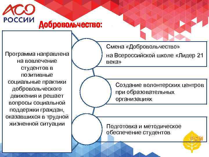 Добровольчество: Программа направлена на вовлечение студентов в позитивные социальные практики добровольческого движения и решает