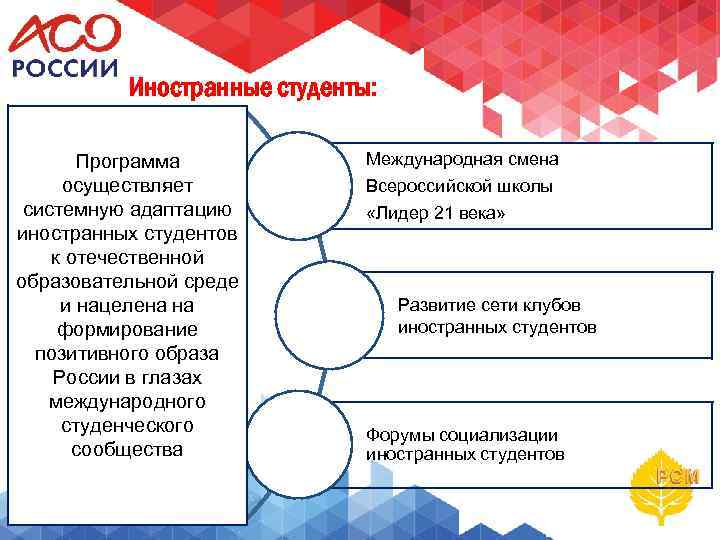 Иностранные студенты: Программа осуществляет системную адаптацию иностранных студентов к отечественной образовательной среде и нацелена