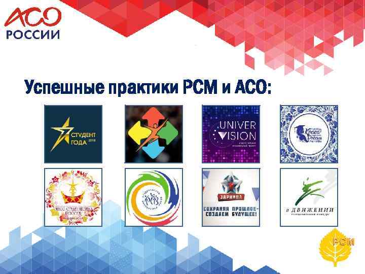 Успешные практики РСМ и АСО: 