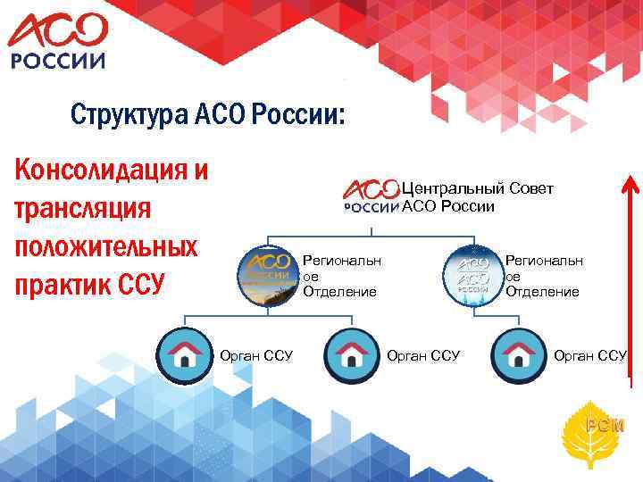 Структура АСО России: Консолидация и трансляция положительных практик ССУ Центральный Совет АСО России Региональн