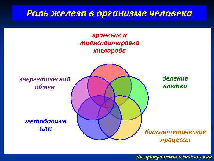 Роль железа в организме человека хранение и транспортировка кислорода энергетический обмен метаболизм БАВ деление