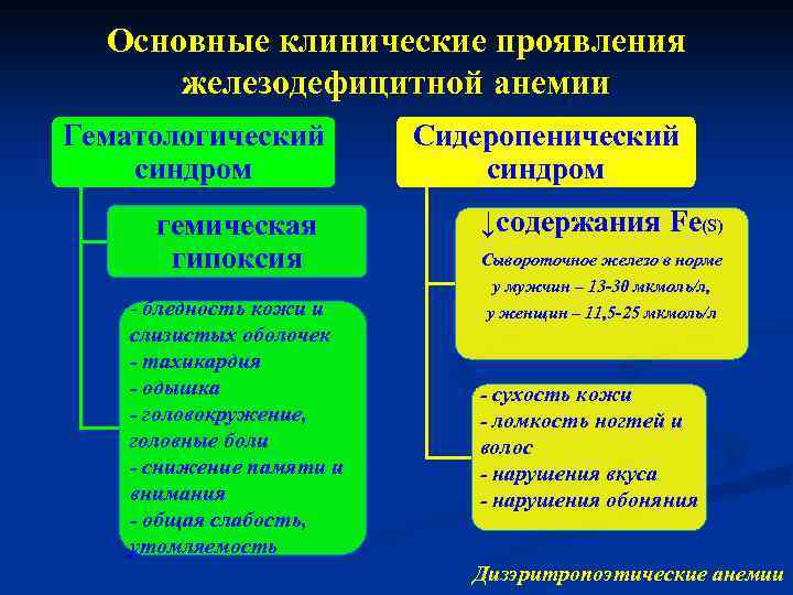 Основные клинические проявления железодефицитной анемии Гематологический синдром гемическая гипоксия - бледность кожи и слизистых