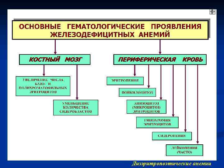 Дизэритропоэтические анемии 