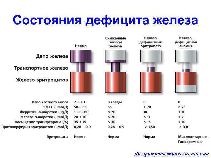 Состояния дефицита железа Дизэритропоэтические анемии 