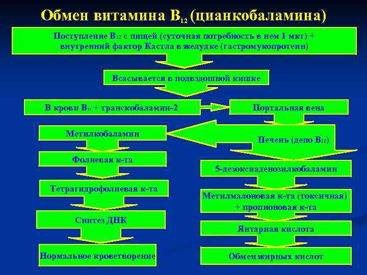 Обмен витамина В 12 (цианкобаламина) Поступление В 12 с пищей (суточная потребность в нем