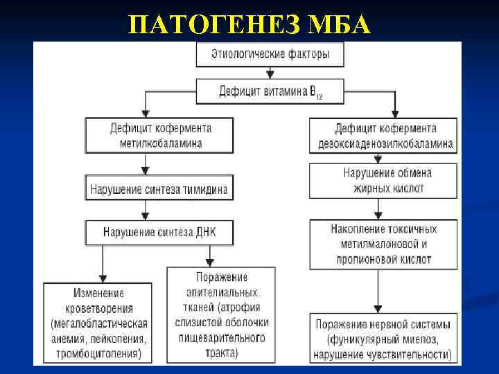 ПАТОГЕНЕЗ МБА 