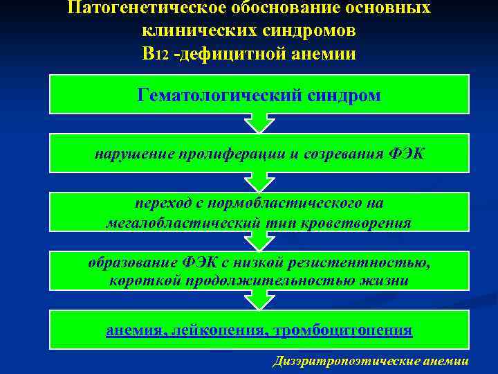Патогенетическое обоснование основных клинических синдромов В 12 -дефицитной анемии Гематологический синдром нарушение пролиферации и