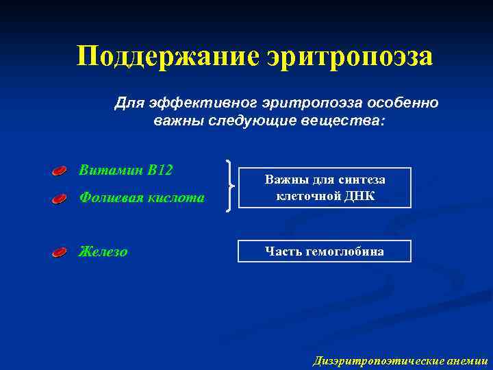 Поддержание эритропоэза Для эффективног эритропоэза особенно важны следующие вещества: Витамин B 12 Фолиевая кислота