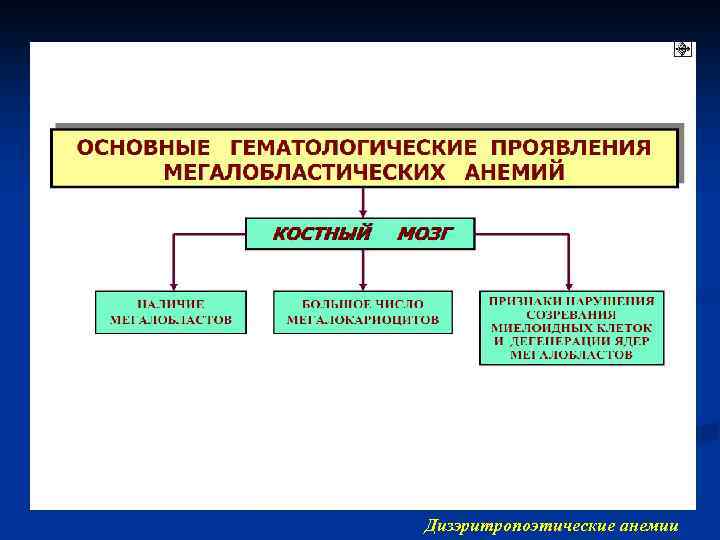 Дизэритропоэтические анемии 