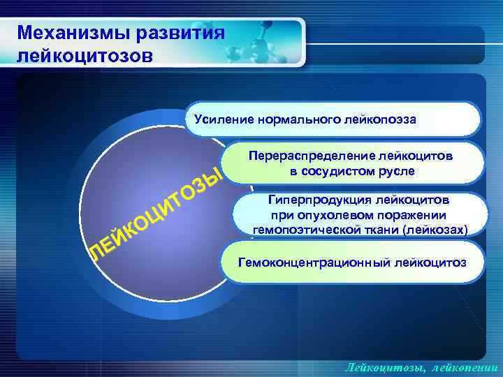 Механизмы развития лейкоцитозов Усиление нормального лейкопоэза ЗЫ ТО ЦИ КО ЕЙ Л Перераспределение лейкоцитов