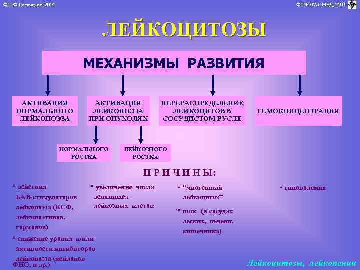 © П. Ф. Литвицкий, 2004 © ГЭОТАР-МЕД, 2004 ЛЕЙКОЦИТОЗЫ МЕХАНИЗМЫ РАЗВИТИЯ АКТИВАЦИЯ НОРМАЛЬНОГО ЛЕЙКОПОЭЗА