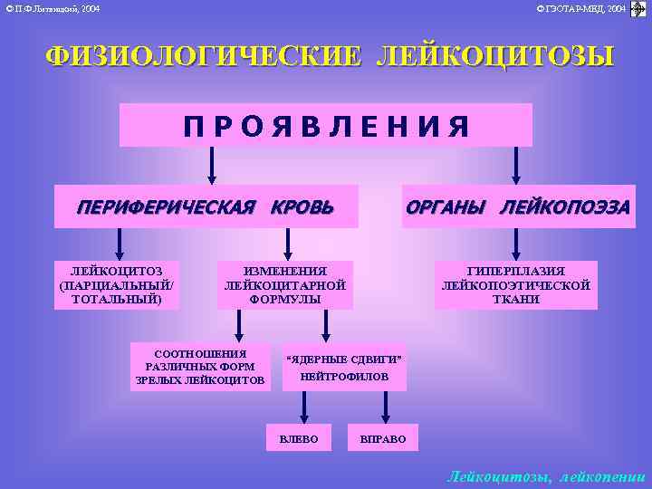 © П. Ф. Литвицкий, 2004 © ГЭОТАР-МЕД, 2004 ФИЗИОЛОГИЧЕСКИЕ ЛЕЙКОЦИТОЗЫ ПРОЯВЛЕНИЯ ПЕРИФЕРИЧЕСКАЯ КРОВЬ ЛЕЙКОЦИТОЗ