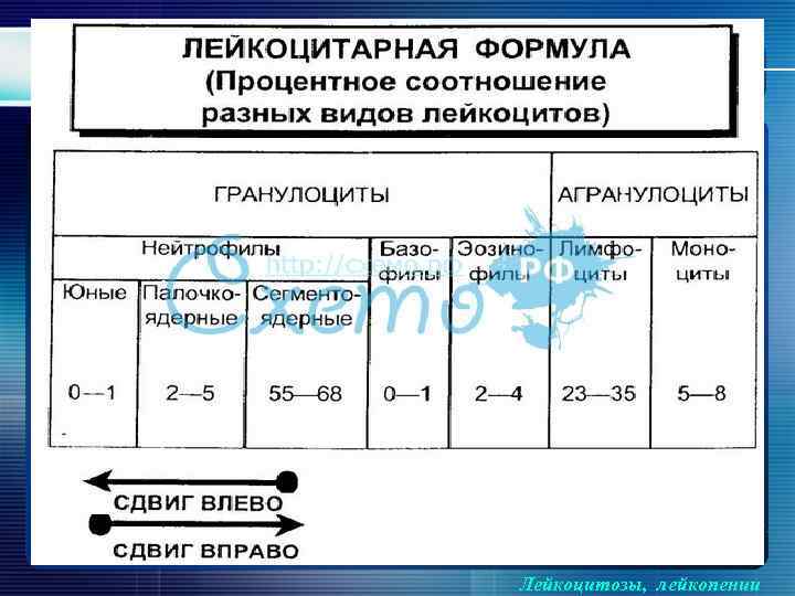 Лейкоцитозы, лейкопении 