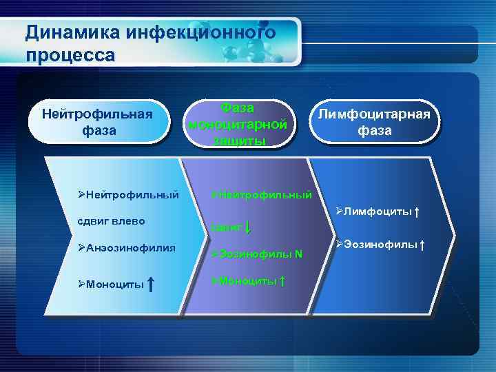 Динамика инфекционного процесса Нейтрофильная фаза ØНейтрофильный сдвиг влево ØАнэозинофилия ØМоноциты ↑ Фаза моноцитарной защиты