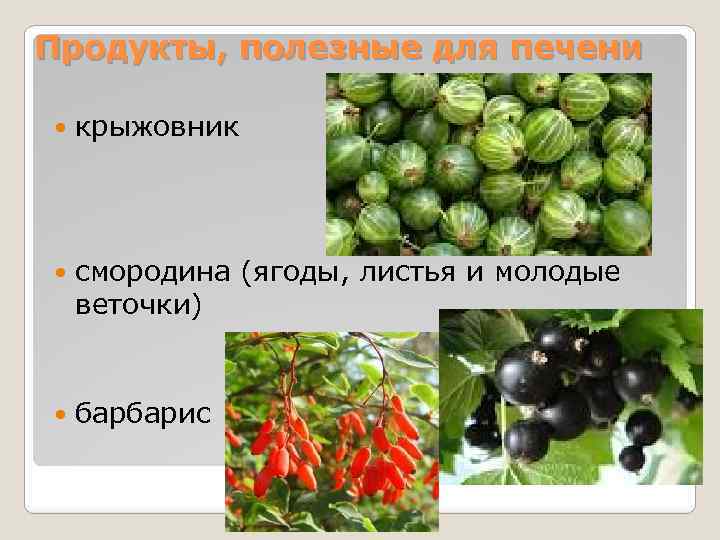 Продукты, полезные для печени крыжовник смородина (ягоды, листья и молодые веточки) барбарис 