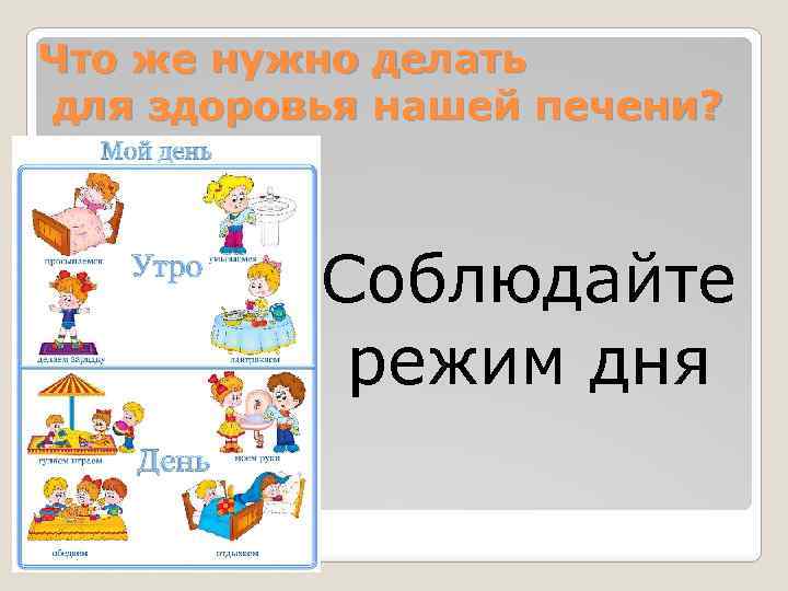 Что же нужно делать для здоровья нашей печени? Соблюдайте режим дня 