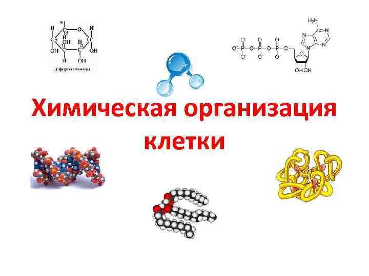 Химическая организация. Химическая организация клетки биология 9 класс. Кластер 