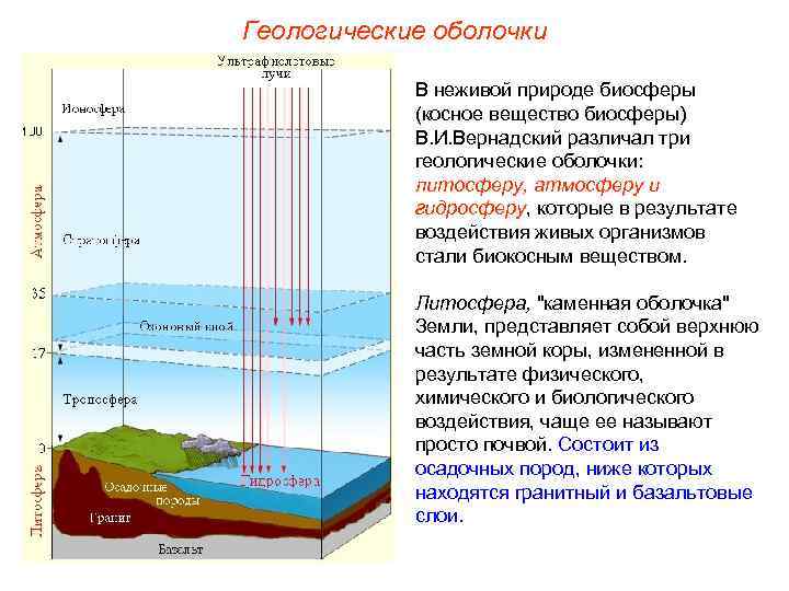 Геологические оболочки В неживой природе биосферы (косное вещество биосферы) В. И. Вернадский различал три