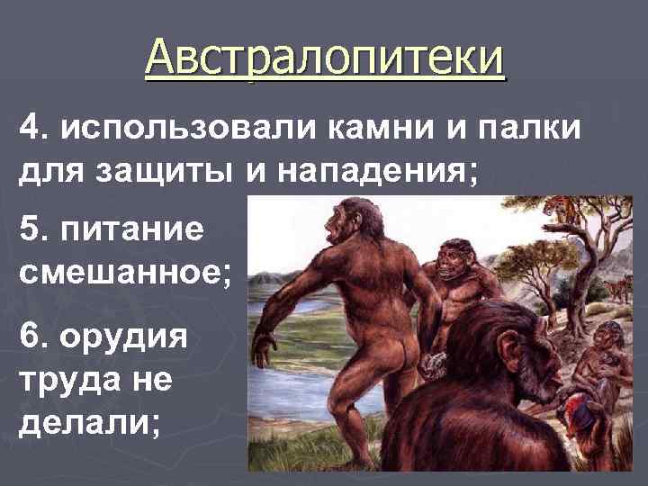 Австралопитеки 4. использовали камни и палки для защиты и нападения; 5. питание смешанное; 6.