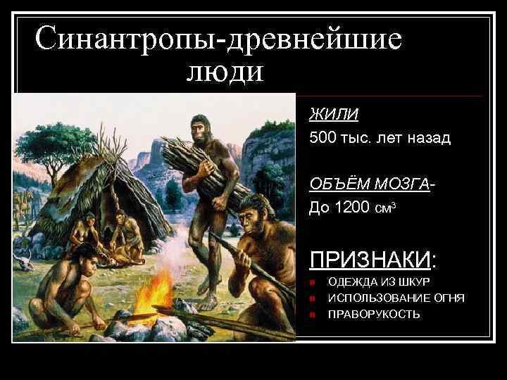 Синантропы-древнейшие люди ЖИЛИ 500 тыс. лет назад ОБЪЁМ МОЗГАДо 1200 см 3 ПРИЗНАКИ: n