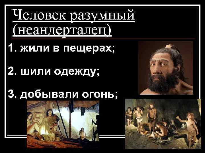 Человек разумный (неандерталец) 1. жили в пещерах; 2. шили одежду; 3. добывали огонь; 