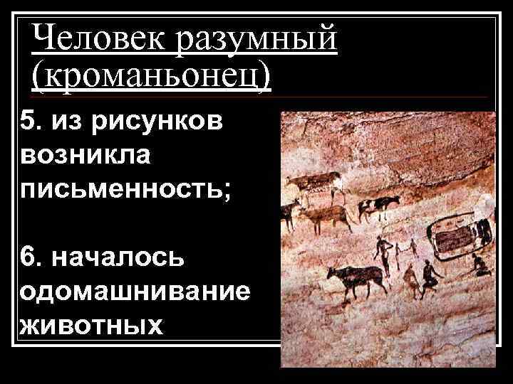 Человек разумный (кроманьонец) 5. из рисунков возникла письменность; 6. началось одомашнивание животных 