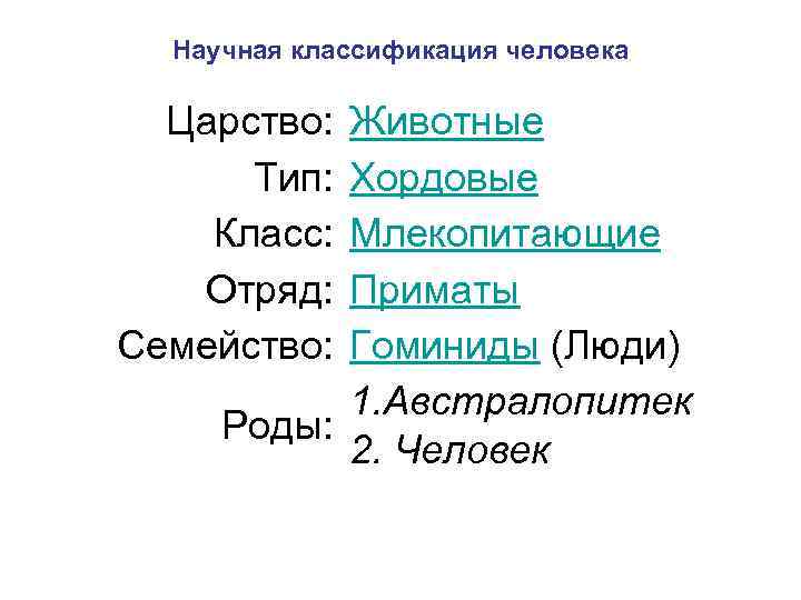 Научная классификация человека Царство: Тип: Класс: Отряд: Семейство: Животные Хордовые Млекопитающие Приматы Гоминиды (Люди)