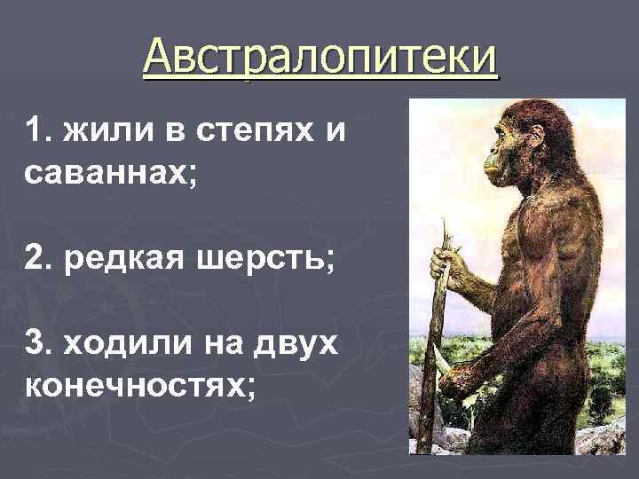 Австралопитеки 1. жили в степях и саваннах; 2. редкая шерсть; 3. ходили на двух