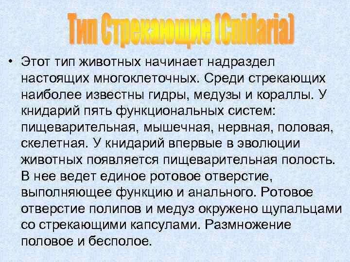  • Этот тип животных начинает надраздел настоящих многоклеточных. Среди стрекающих наиболее известны гидры,