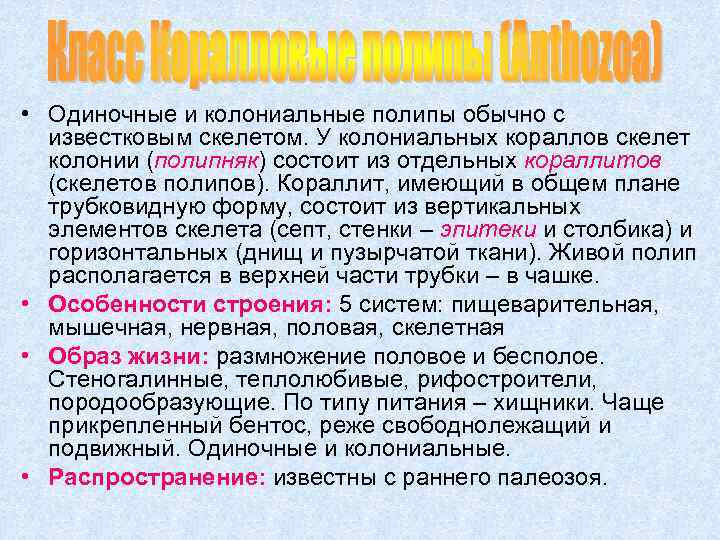  • Одиночные и колониальные полипы обычно с известковым скелетом. У колониальных кораллов скелет