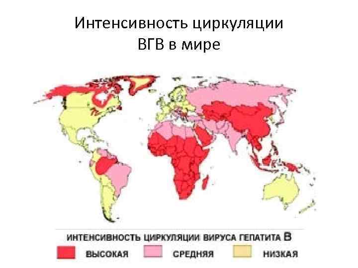 Интенсивность циркуляции ВГВ в мире 