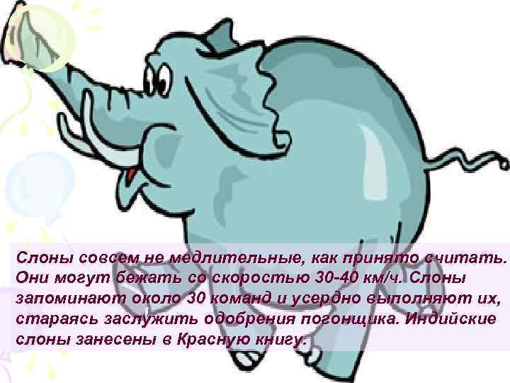 Слоны совсем не медлительные, как принято считать. Они могут бежать со скоростью 30 -40