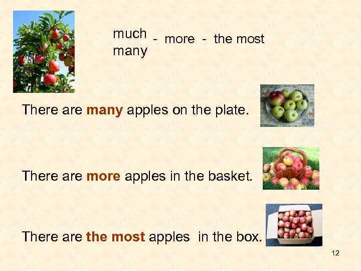 much - more - the most many There are many apples on the plate.
