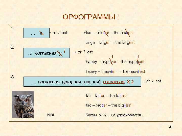 ОРФОГРАММЫ : 1. … e + er / est nice – niceer - the