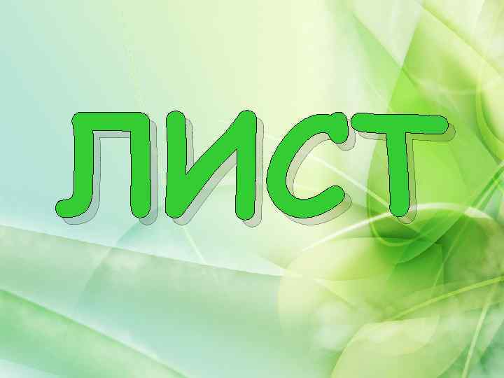 ЛИСТ 