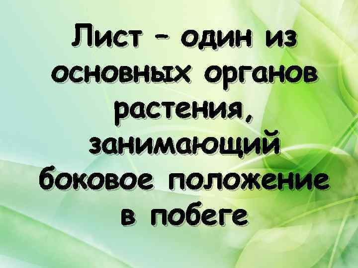 Лист – один из основных органов растения, занимающий боковое положение в побеге 
