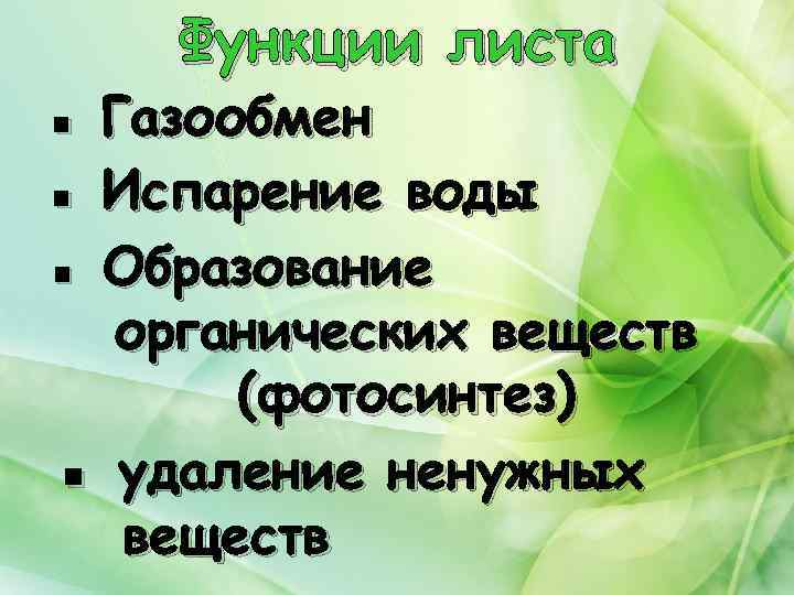 ▪ ▪ ▪ Функции листа Газообмен Испарение воды Образование органических веществ (фотосинтез) ▪ удаление