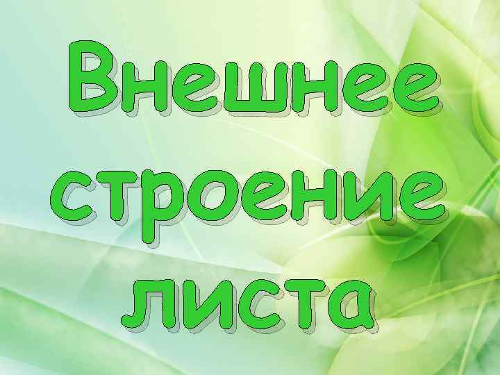 Внешнее строение листа 