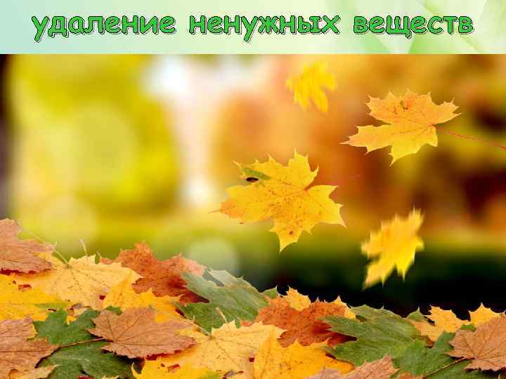 удаление ненужных веществ пробковый слой 