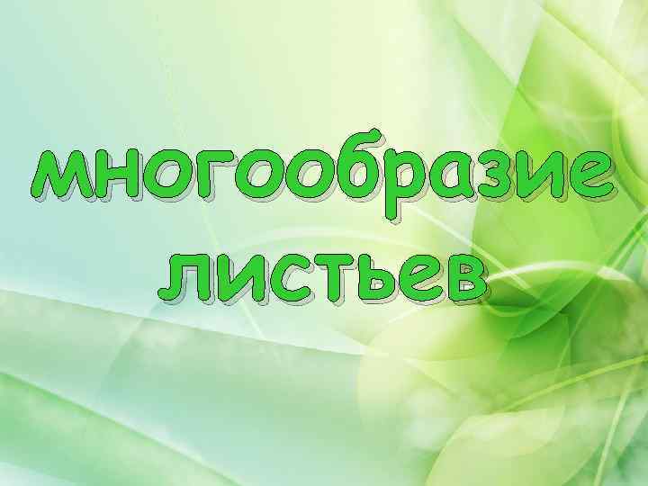 многообразие листьев 