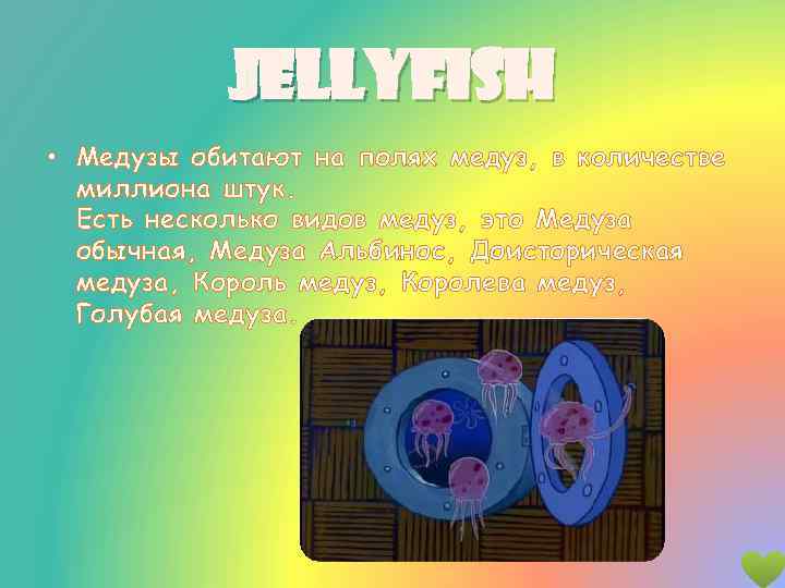 jellyfish • Медузы обитают на полях медуз, в количестве миллиона штук. Есть несколько видов
