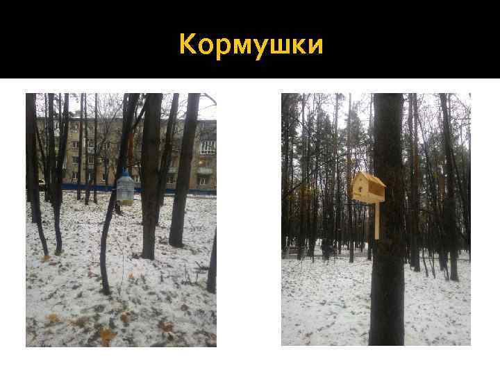 Кормушки 