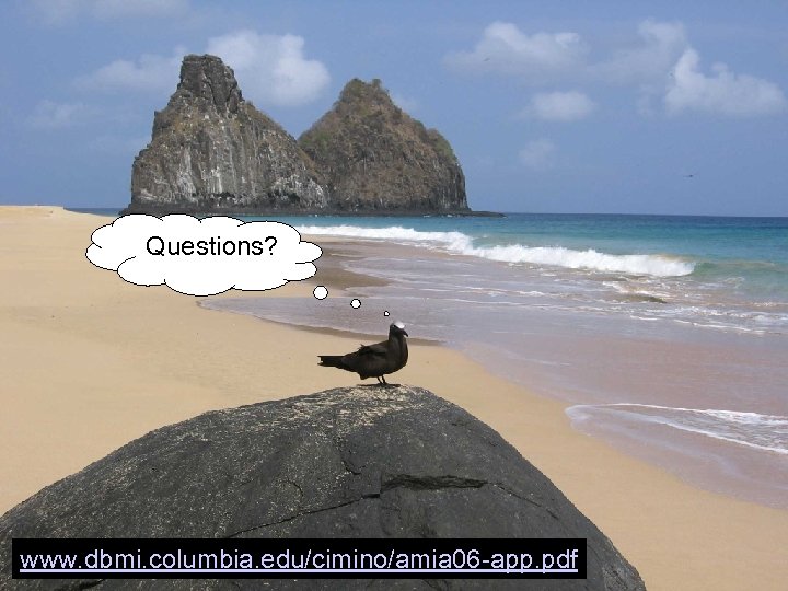 Questions? www. dbmi. columbia. edu/cimino/amia 06 -app. pdf 