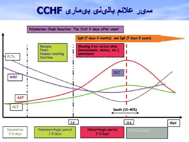  ﺳیﺮ ﻋﻼﺋﻢ ﺑﺎﻟیﻨی ﺑیﻤﺎﺭی CCHF 