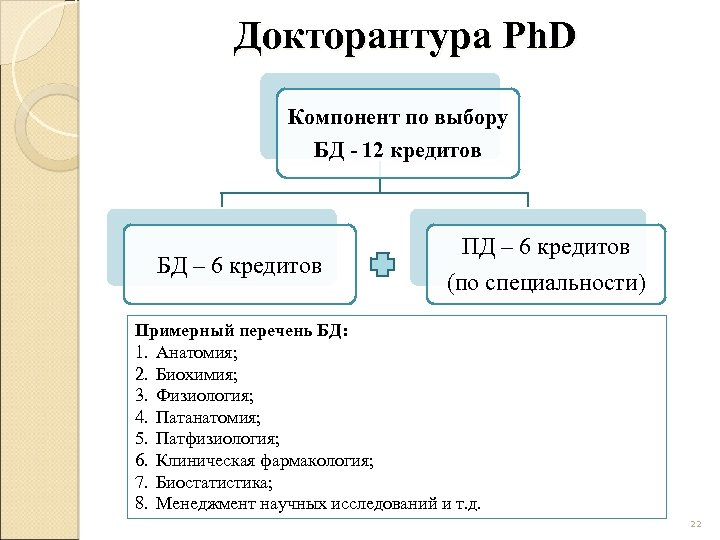 Докторантура Ph. D Компонент по выбору БД - 12 кредитов БД – 6 кредитов