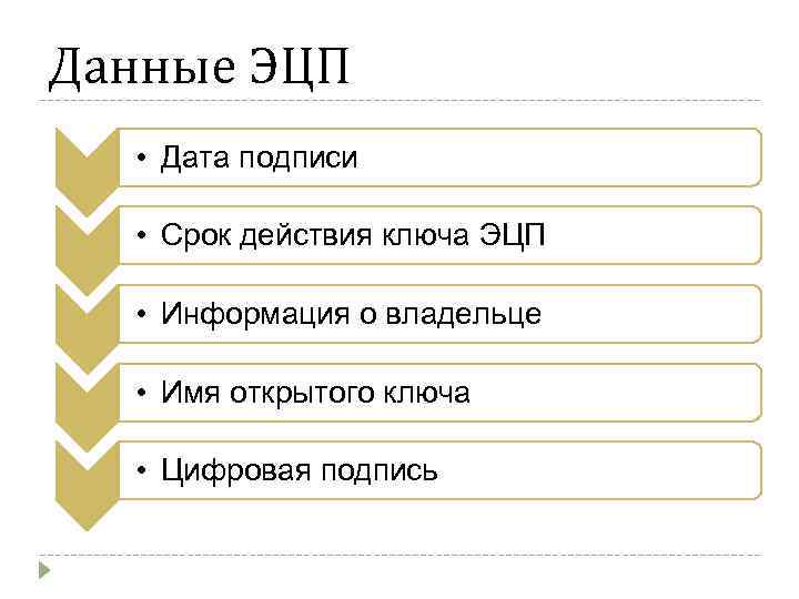 Данные ЭЦП • Дата подписи • Срок действия ключа ЭЦП • Информация о владельце