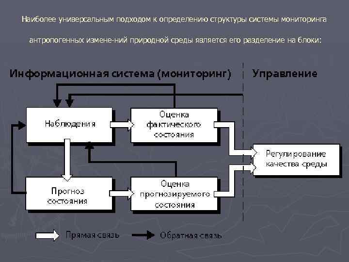 Наиболее универсальным подходом к определению структуры системы мониторинга антропогенных измене ний природной среды является