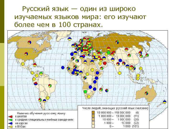  Русский язык — один из широко изучаемых языков мира: его изучают более чем